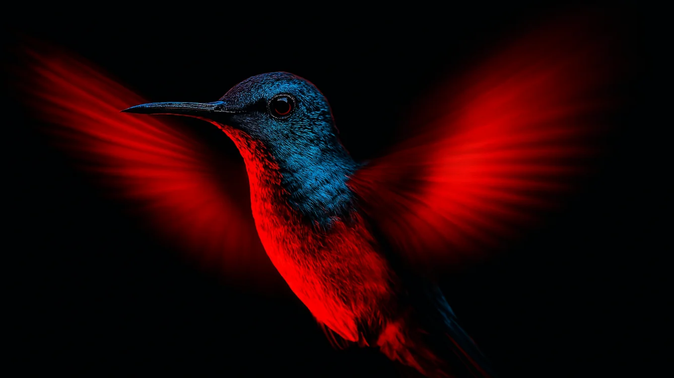 Da1TimeTable hummingbird logo - AI-powered scheduling solution